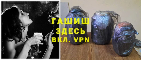 шишки Горняк