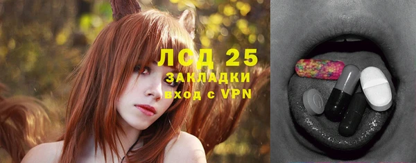 шишки Горняк