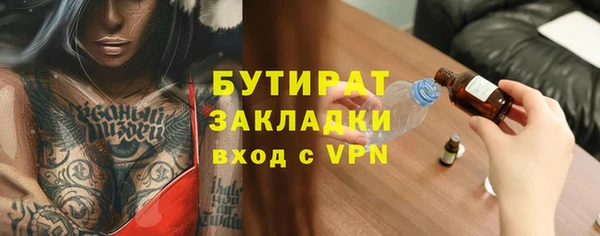 шишки Горняк