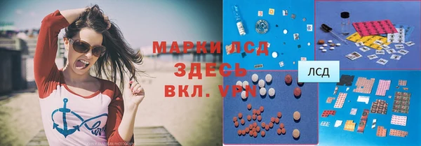 гидра Анжеро-Судженск