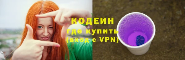 шишки Горняк