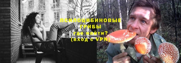 шишки Горняк