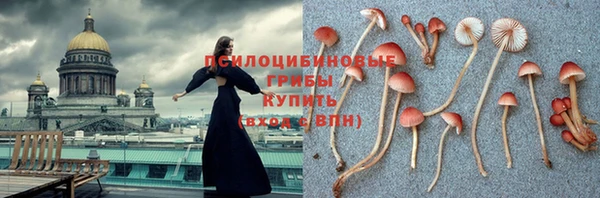 гидропоника Анива