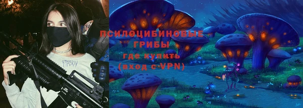 шишки Горняк