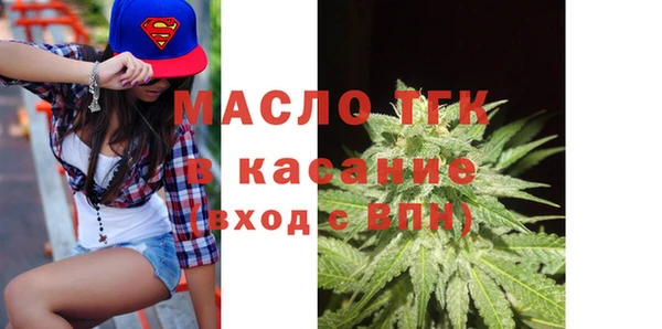шишки Горняк
