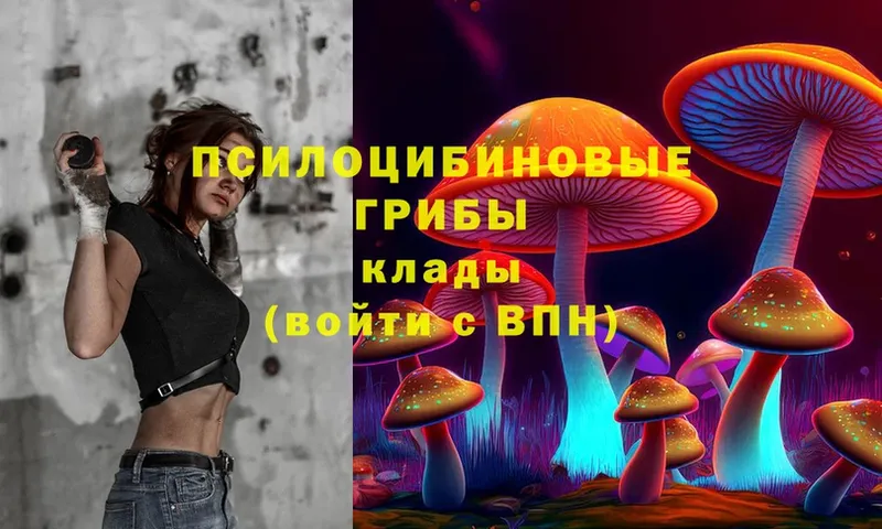 Псилоцибиновые грибы Magic Shrooms  Давлеканово 